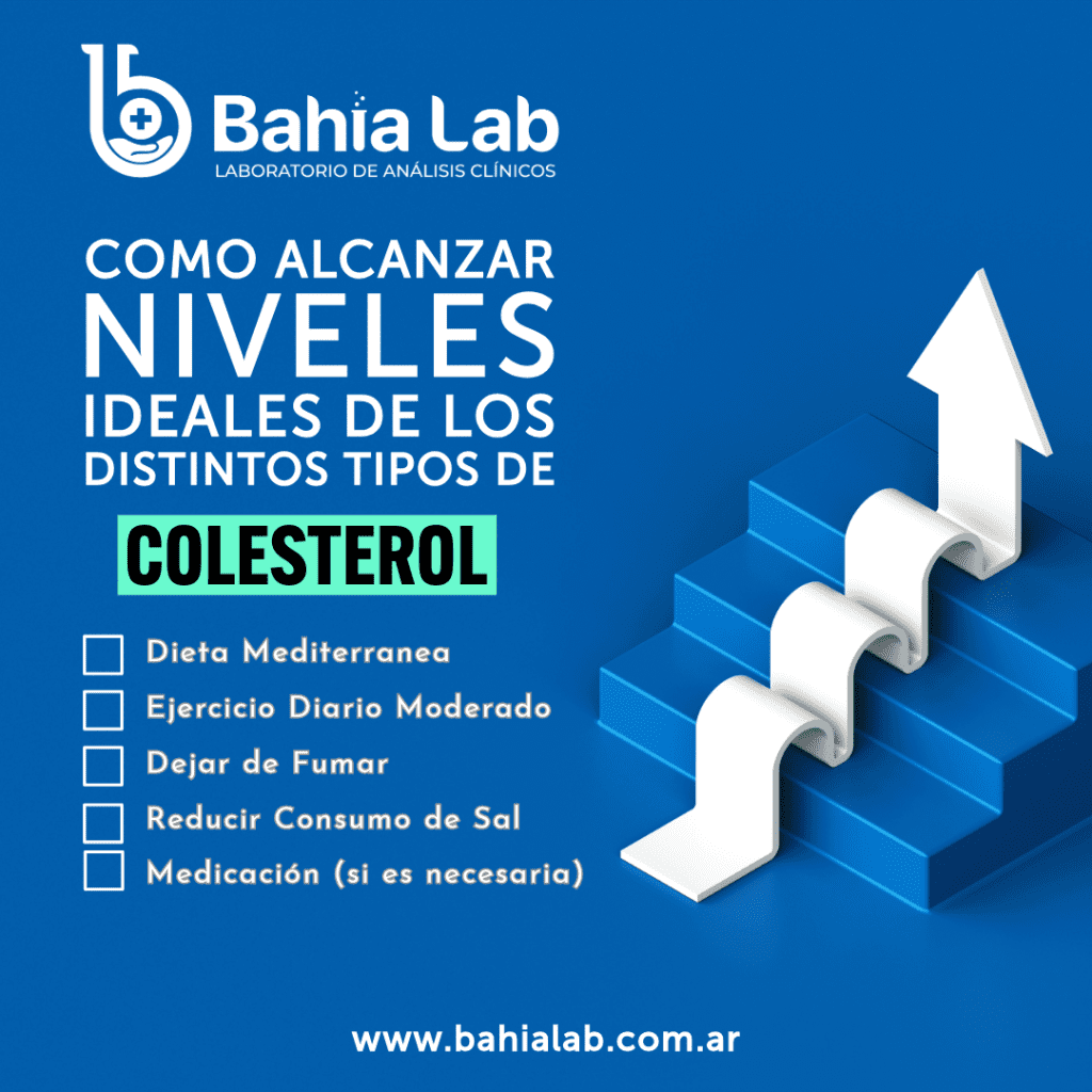 Niveles de Colesterol